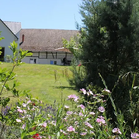 Le Clos Saint Morand